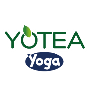 Yotea