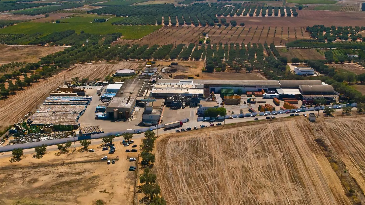 Descrizione