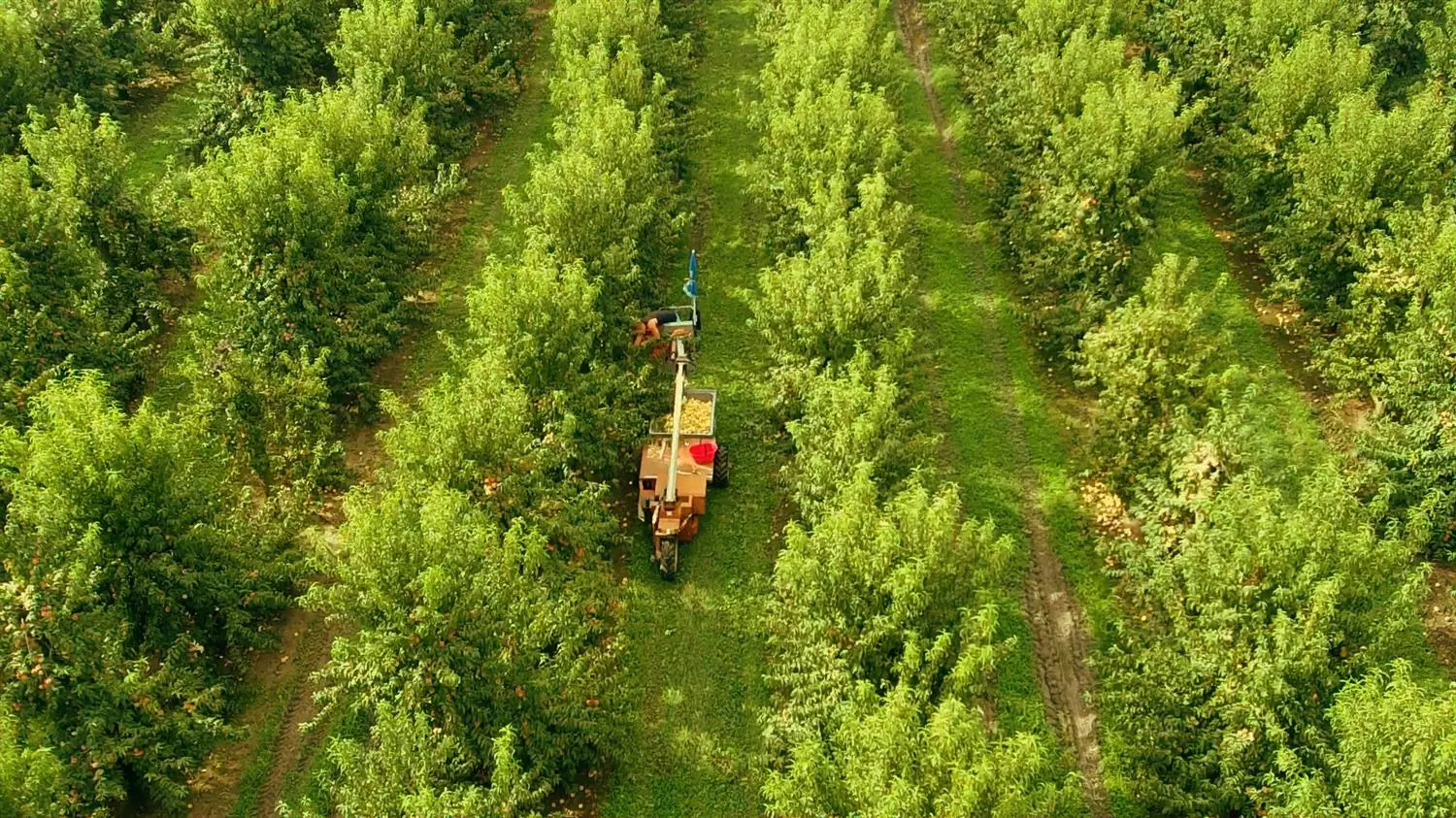Filiera Agricola