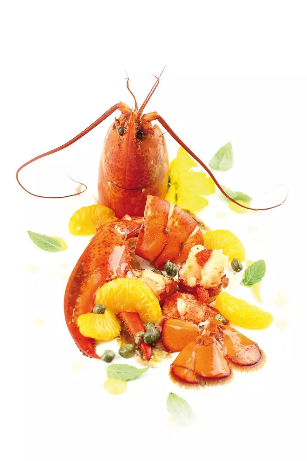 Astice con crema di borlotti bruciata e coulis di mandarino