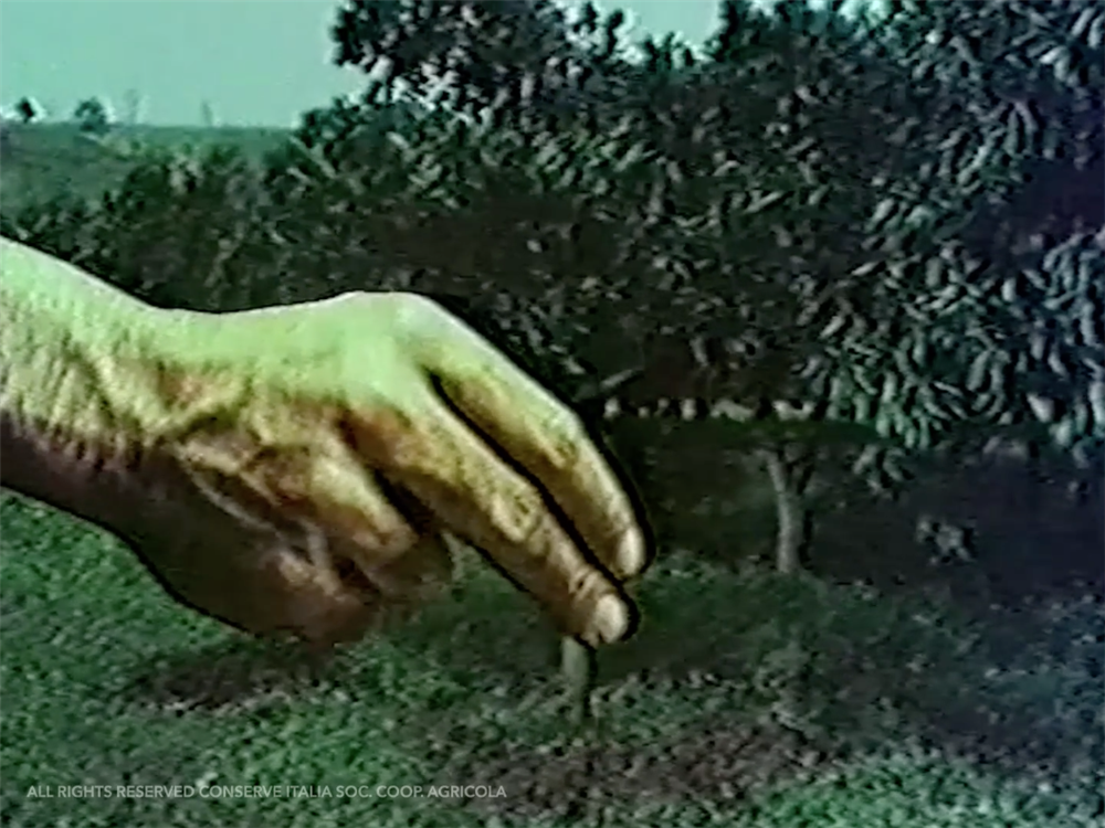 Valfrutta - La Natura Di Prima Mano - Prima Serie