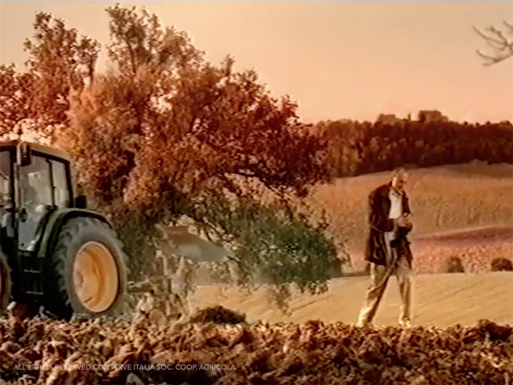 Valfrutta - La Natura Di Prima Mano - Sesta Serie - Le Stagioni