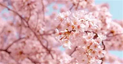La primavera è arrivata!