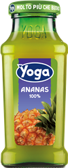 Ananas 100%